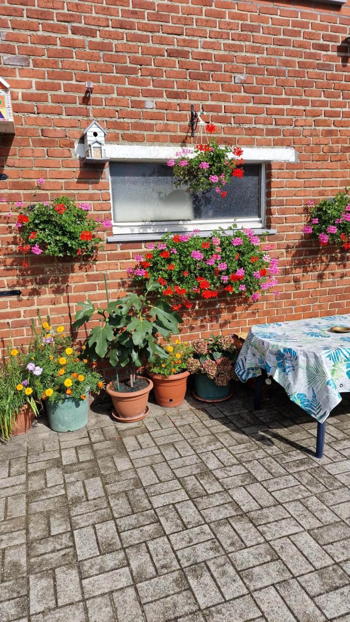 Ferienwohnung Mignon Soumagne Exterior foto